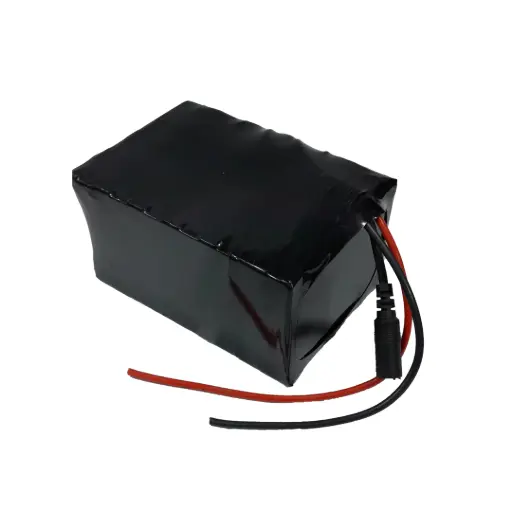 6S4P Li-ion Battery Pack 24V 8800mAh with BMS
